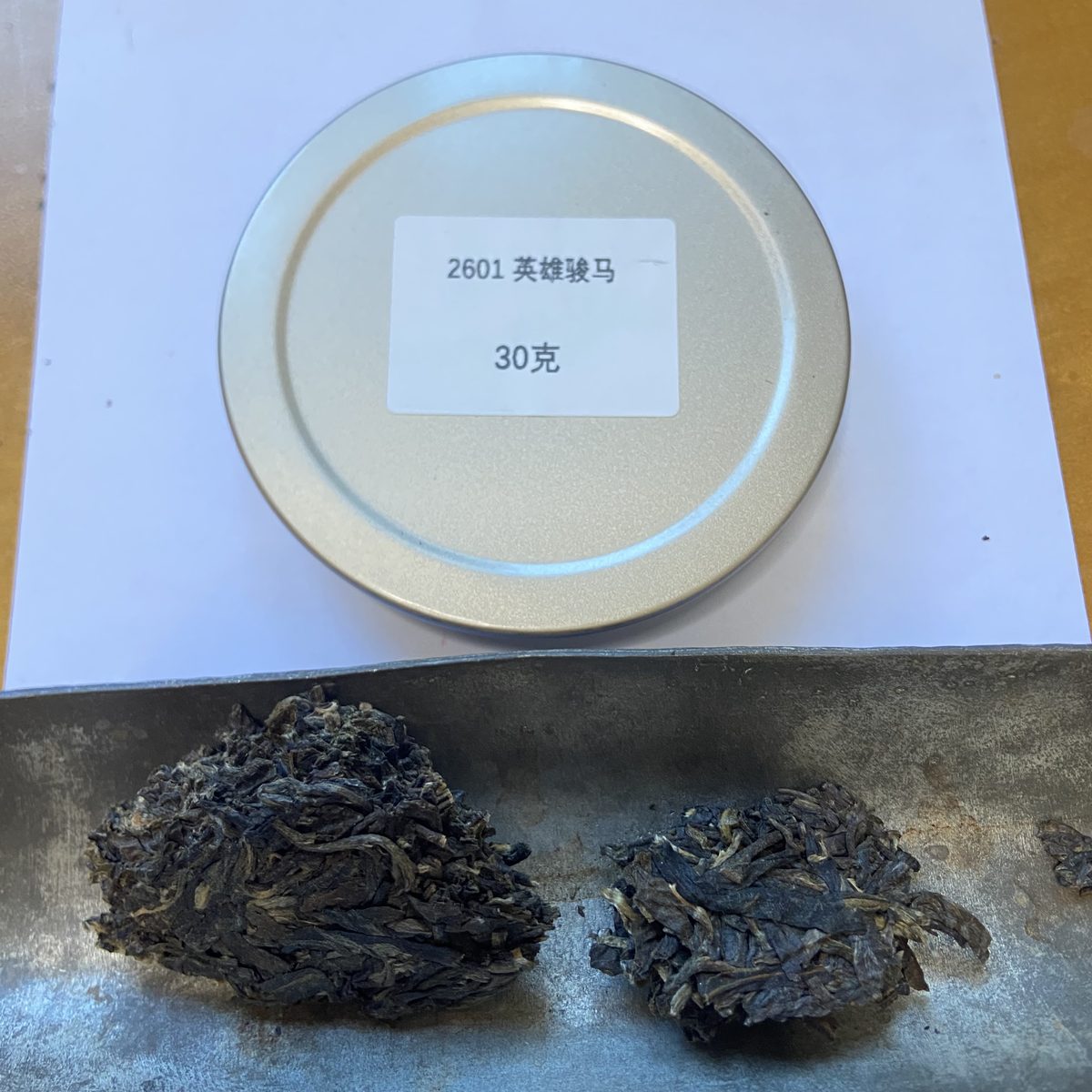 2026-大益英雄骏马